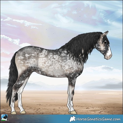 Horse Color:Blue Onyx Ice Rabicano 