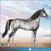 Horse Color:Blue Onyx Ice Rabicano 