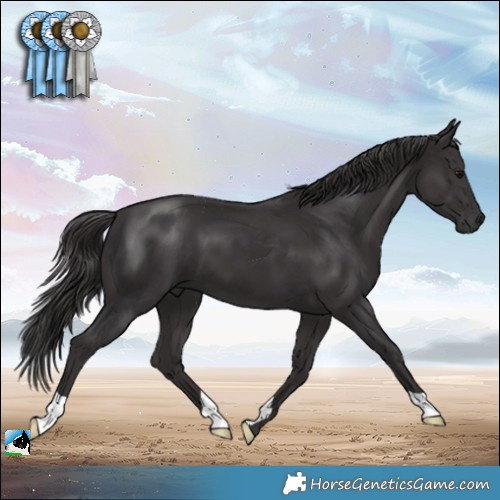 Horse Color:Smoky Black Mushroom 