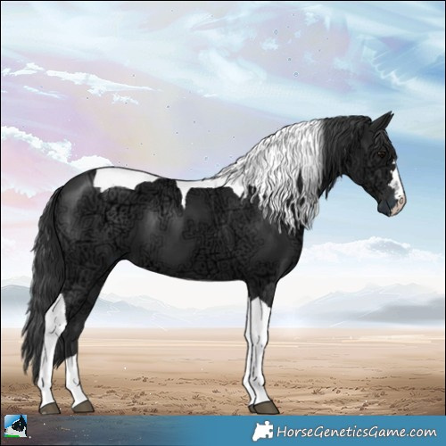 Horse Color:Black Ice Mushroom Tobiano 