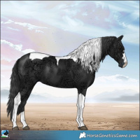 Horse Color:Black Ice Mushroom Tobiano