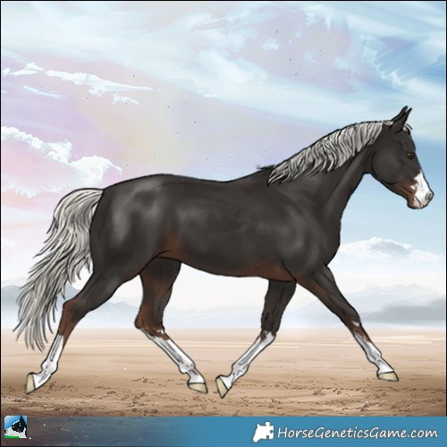 Horse Color:Liver Chestnut Mushroom 