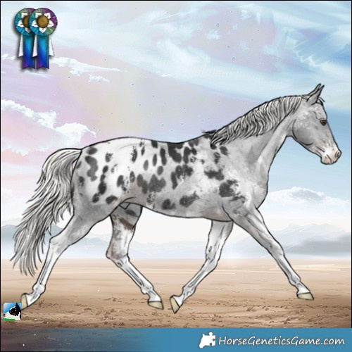 Horse Color:Liver Chestnut Mushroom Sabino Appaloosa Rabicano 