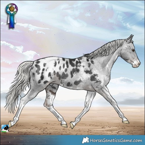 Horse Color:Liver Chestnut Mushroom Sabino Appaloosa Rabicano 