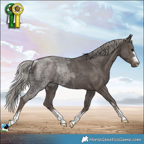 Horse Color:Silver Black Ice Rabicano 