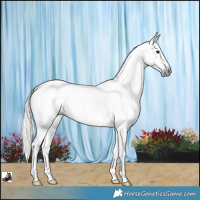 Horse Color:Gray Buckskin Dun Tobiano Appaloosa Rabicano