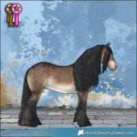 Horse Color:Brown Dun 