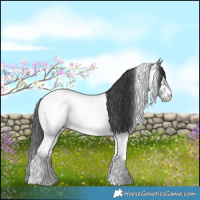 Horse Color:Black Tobiano Near Fewspot 