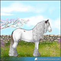 Horse Color:Liver Chestnut Tobiano Frame Near Leopard 