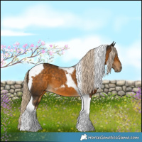 Horse Color:Chocolate Palomino Tobiano 