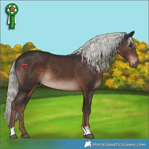 Horse Color:Liver Chestnut Mushroom 