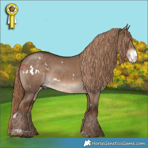Horse Color:White Spotted Liver Red Dun Sabino 