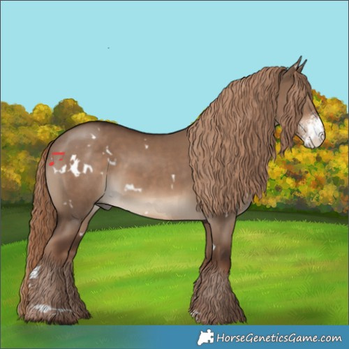 Horse Color:White Spotted Liver Red Dun Sabino 