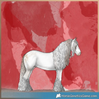 Horse Color:Gray Buckskin Pearl Dun Sabino Tobiano Frame Appaloosa Brindle