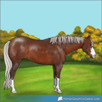 Horse Color:Silver Brown