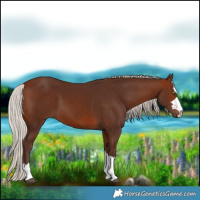 Horse Color:Silver Bay
