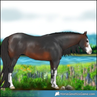 Horse Color:Brown 