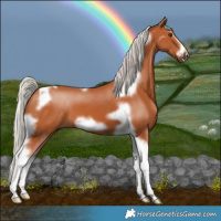 Horse Color:Silver Bay Tobiano Frame 