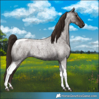 Horse Color:Liver Red Roan Tobiano 