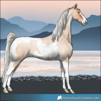 Horse Color:Silver Blue Roan Pearl Tobiano Frame 