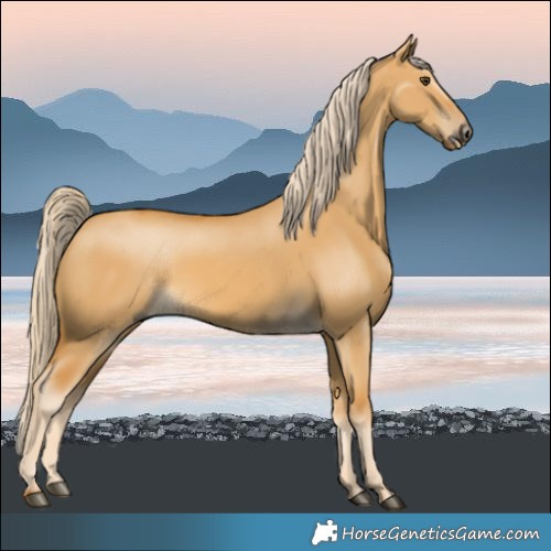 Horse Color:Palomino Dun