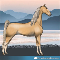 Horse Color:Palomino Dun 