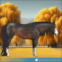 Horse Color:Brown 