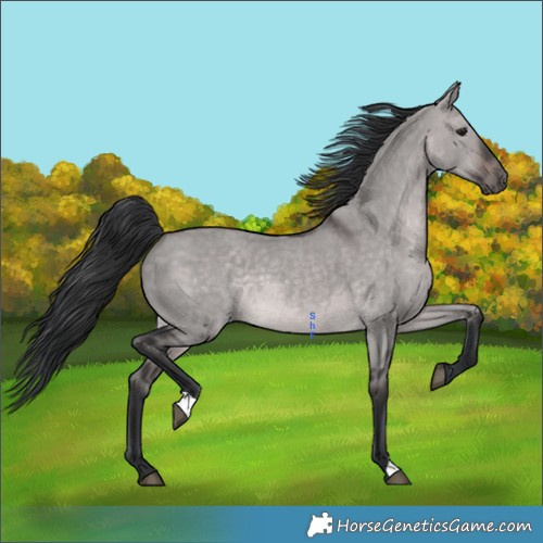 Horse Color:Platinum Brown Dun 
