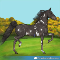 Horse Color:Platinum White Spotted Liver Chestnut