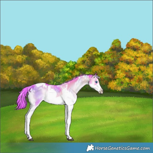 Horse Color:Watercolor White Spotted Liver Red Onyx Splash Tobiano 