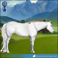 Horse Color:Gray Chocolate Palomino Dun Appaloosa Rabicano 