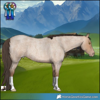 Horse Color:Amber Champagne Roan