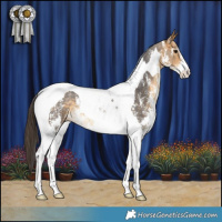 Horse Color:Buckskin Sabino Tobiano