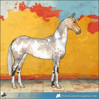 Horse Color:White Spotted Silver Buckskin Roan 