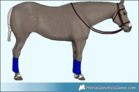 Horse Color:Silver Black 