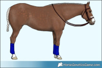 Horse Color:Silver Black 