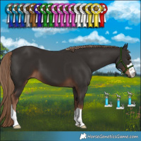 Horse Color:Liver Chestnut 
