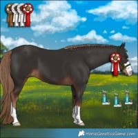 Horse Color:Liver Chestnut