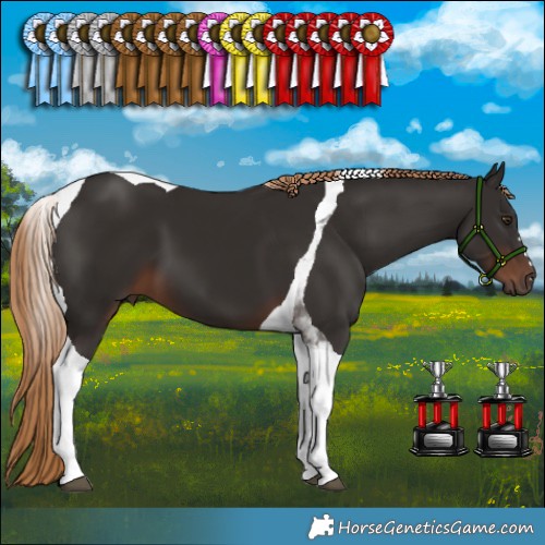 Horse Color:Liver Chestnut Tobiano 