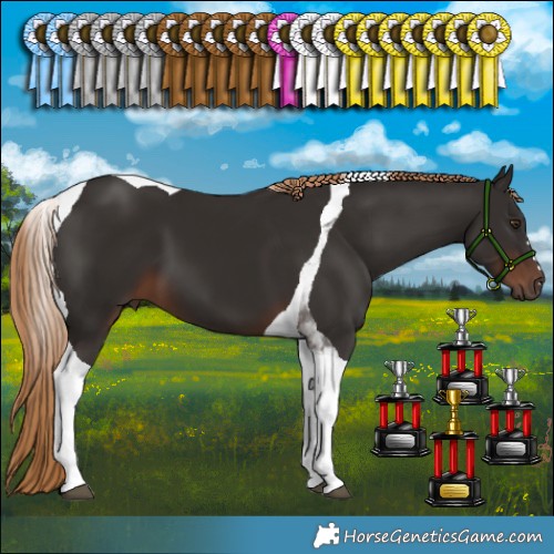 Horse Color:Liver Chestnut Tobiano 