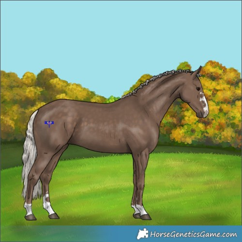 Horse Color:Silver Black