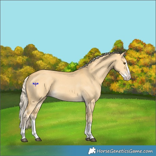 Horse Color:Palomino Dun Splash 