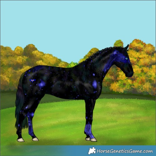 Horse Color:ERROR: UNKNOWN ANOMALY and ERROR: UNKNOWN ANOMALY