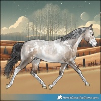 Horse Color:White Spotted Brown Dun Sabino Brindle 