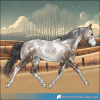 Horse Color:White Spotted Brown Dun Sabino Brindle 