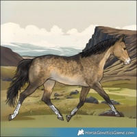 Horse Color:Buckskin Dun Sabino