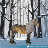 Horse Color:White Spotted Silver Buckskin 