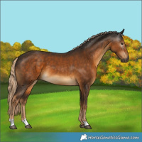Horse Color:Gray Chocolate Palomino 