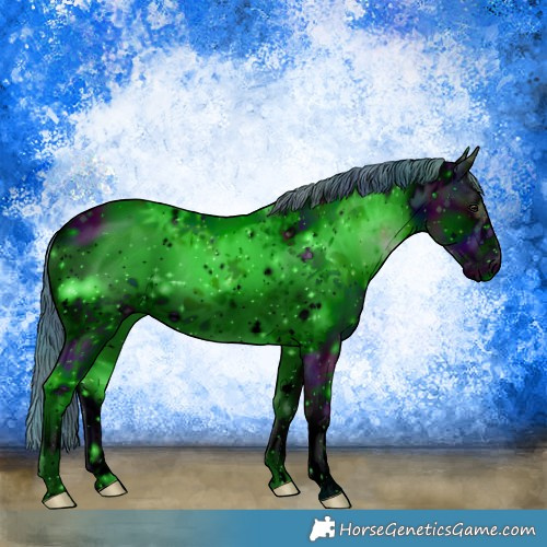 Horse Color:ERROR: UNKNOWN ANOMALY