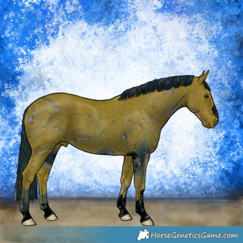 Horse Color:ERROR: UNKNOWN ANOMALY